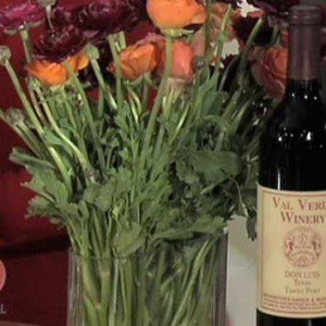 TDA_WineCast_Port_preview
