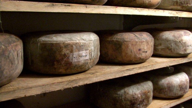 apr11_homestead_cheese