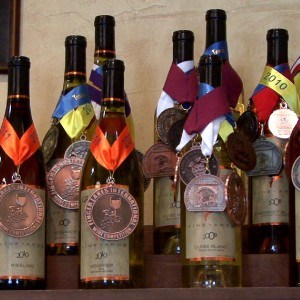 Texas Wineries_Main