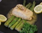 CC Montrose Amy:Fish