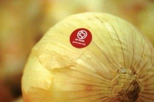 GO Texan Onion