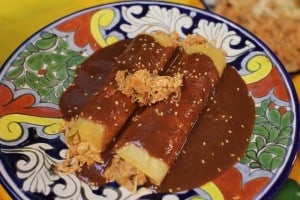Mi Tierra's Mole Enchiladas