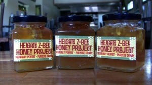 Zelko Bistro honey