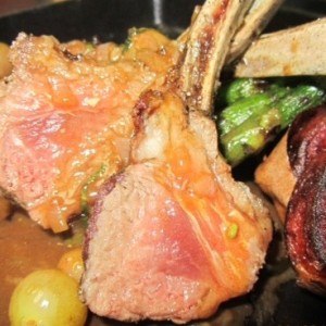 colorado-lamb