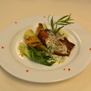 massa-redfish