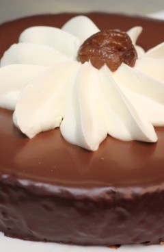 houstonian-chestnut