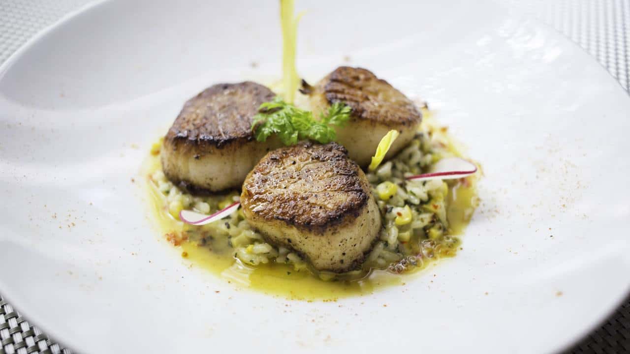 Potente S Diver Scallops With Crushed Corn Risotto Shellfish Brodo Goodtaste With Tanji